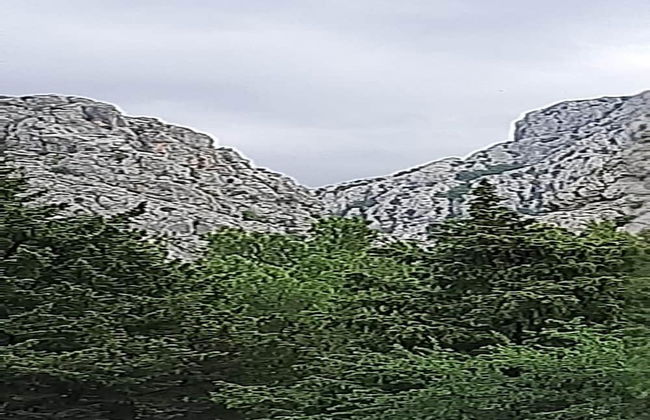 Apartment Marijana - Foto 24