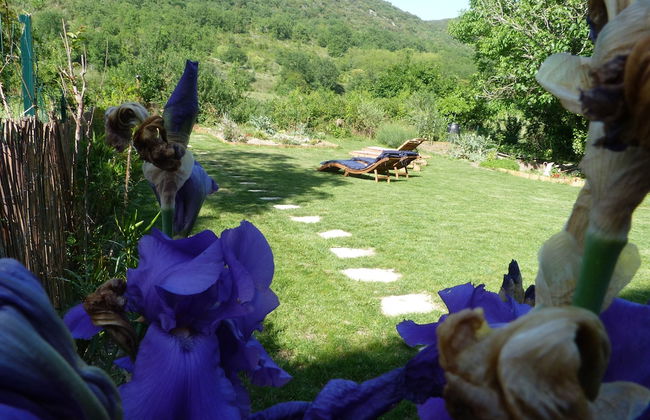 Le Grand Gîte - Foto 15