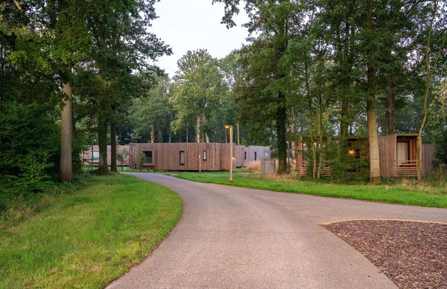 Suite Near Tournai With Grand Large Views - Photo 23