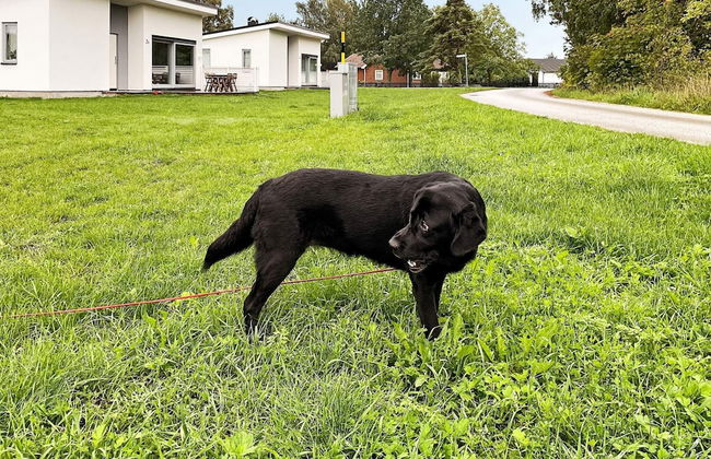 6 Person Holiday Home in Gotlands Tofta-by Traum - Foto 29