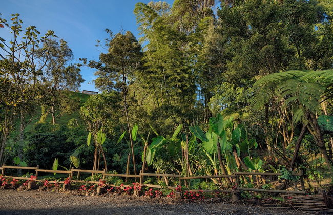 Ecoluxury glamping - Foto 66