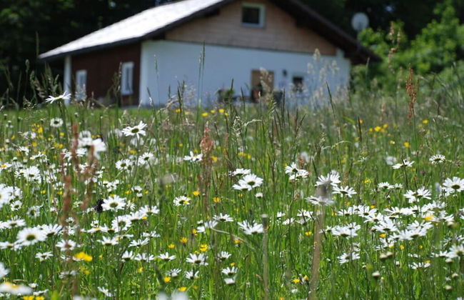 Attractive Apartment in Haidmuhle - Photo 23