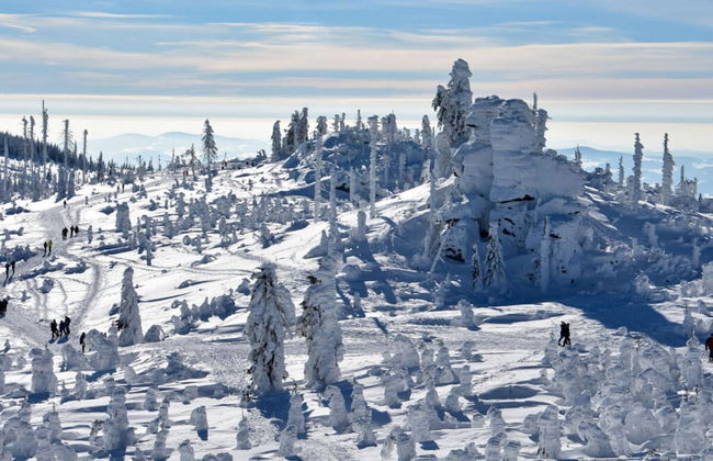 Attractive Apartment in Haidmuhle - Photo 9