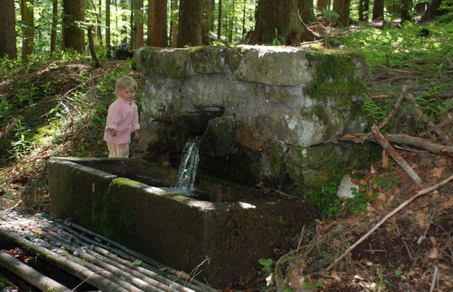 Attractive Apartment in Haidmuhle - Photo 17