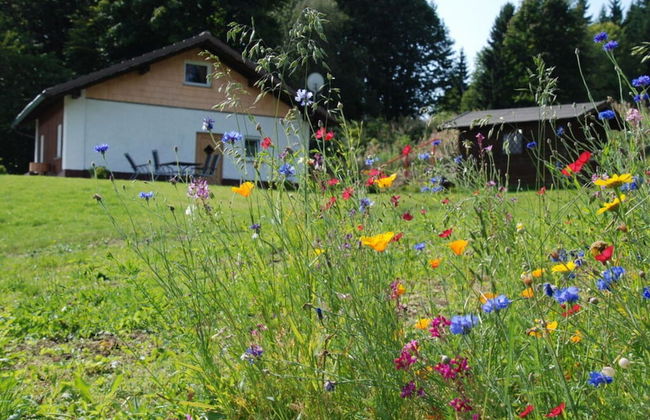 Attractive Apartment in Haidmuhle - Photo 19