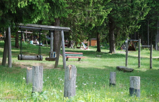 Attractive Apartment in Haidmuhle - Photo 10