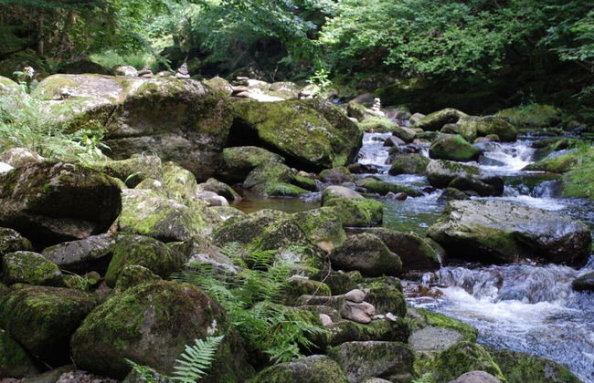 Attractive Apartment in Haidmuhle - Photo 20