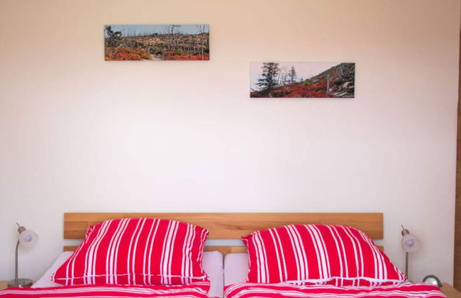 Attractive Apartment in Haidmuhle - Photo 3