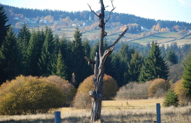 Attractive Apartment in Haidmuhle - Photo 24