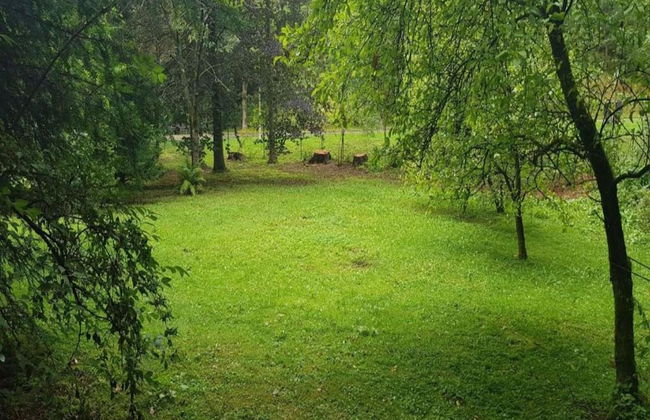 Sonniges Dachgeschoss-refugium, Wildemann - Foto 24
