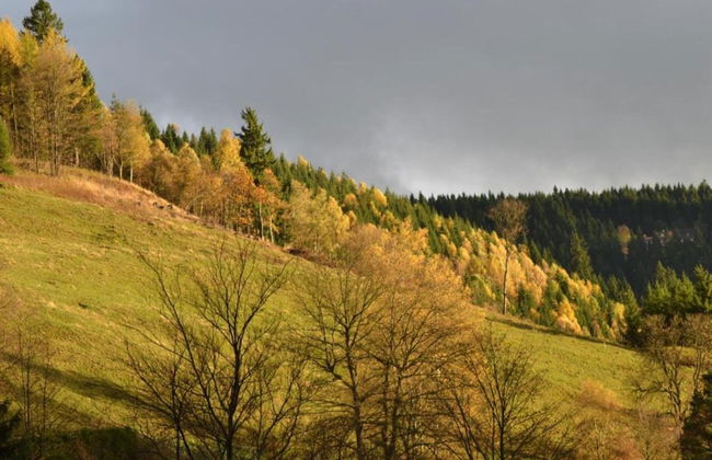 Sonniges Dachgeschoss-refugium, Wildemann - Foto 27