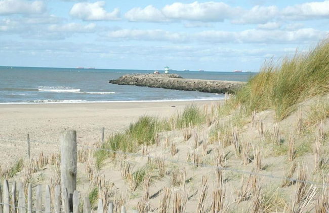 Coastal Apartment Near Dunes - Foto 30