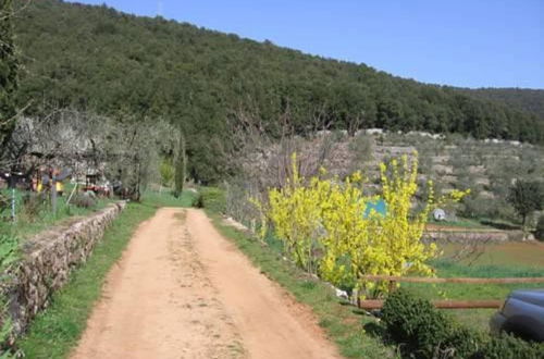 Photo 12 - Biofarm Podere Ficareto