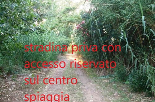 Photo 72 - In Fresco p. Terra nel Verde a 3 Minuti a Piedi dal Mare Villa Loddo 2 P2661