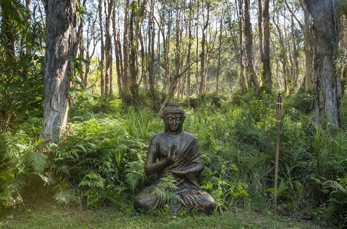 Photo 31 - Buddha's Bungalow