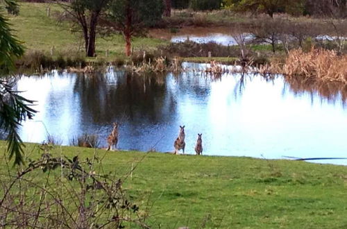 Foto 21 - Australian Home Away at Wonga Park Brushy Creek