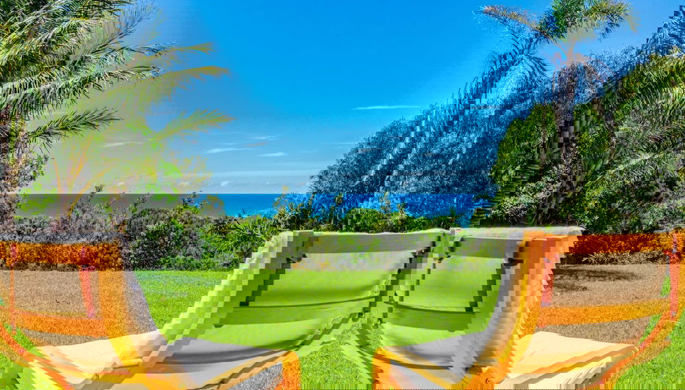 Imagem principal