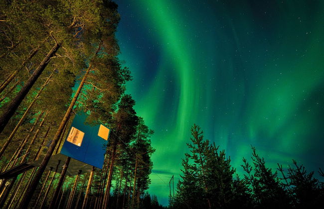 Tree Hotel - Foto 1