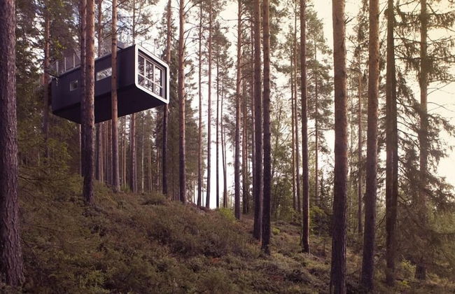 Tree Hotel - Foto 5