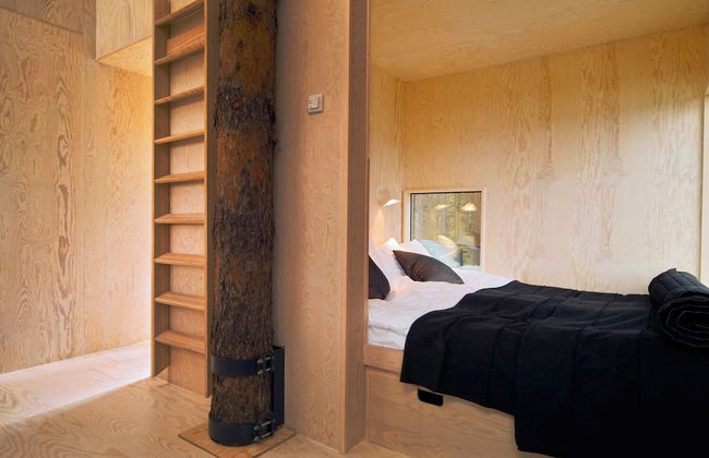 Tree Hotel - Foto 25