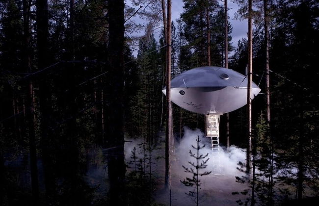 Tree Hotel - Foto 8