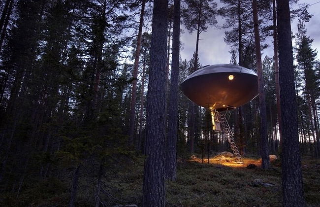 Tree Hotel - Foto 11