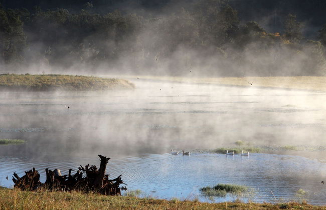 Yabbaloumba Retreat - Foto 22