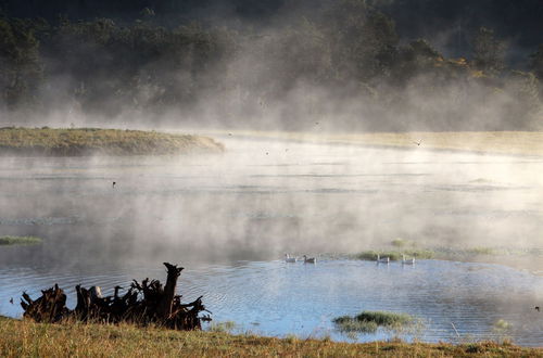 Photo 22 - Yabbaloumba Retreat