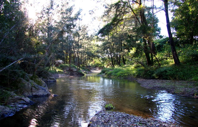 Yabbaloumba Retreat - Foto 15