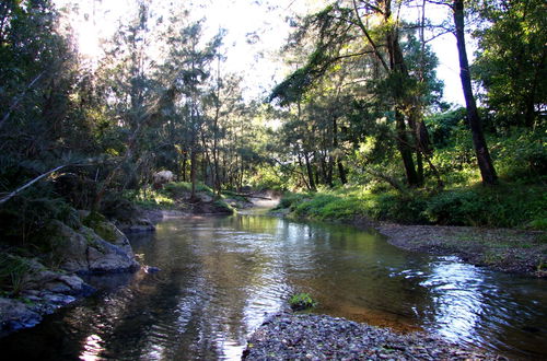 Photo 15 - Yabbaloumba Retreat