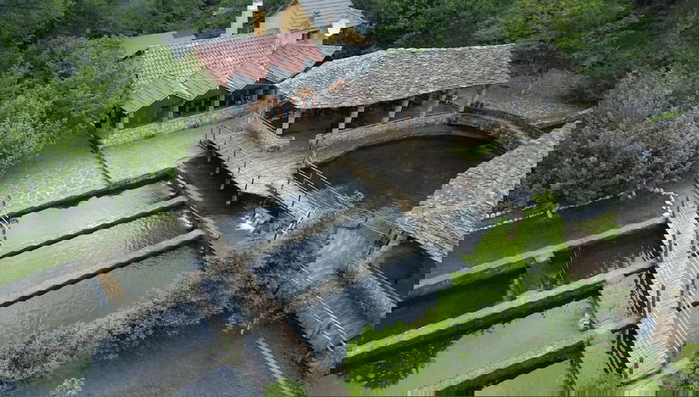 Imagem principal