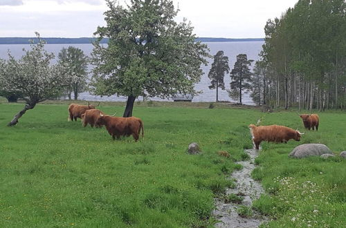 Photo 16 - Stunning 8-bed Cabin at Lake Skagern