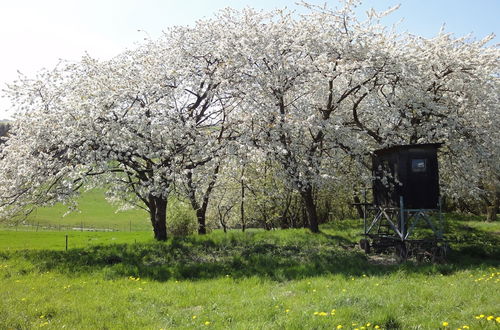 Photo 14 - Holiday Home in Kleinich With Sauna