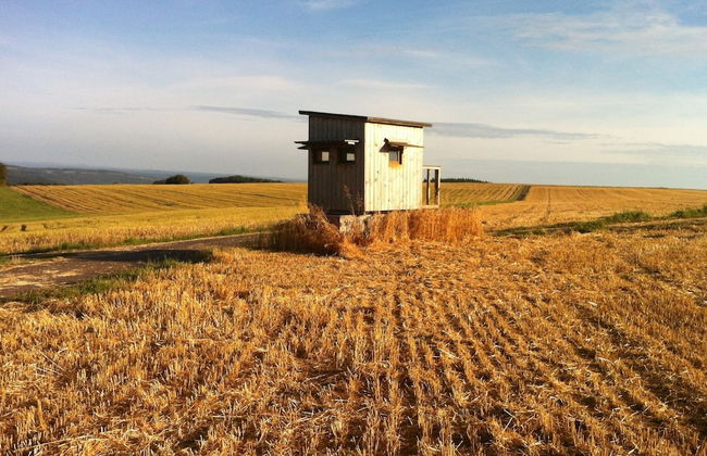 Holiday Home Moselle With Private Sauna - Foto 21