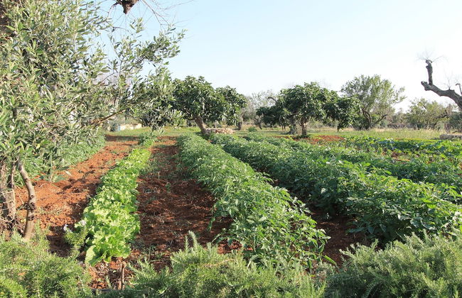 Country Salenthouse - Photo 8