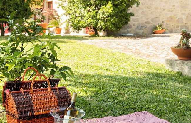 Casa Lata - Wine & Tourism - Foto 68
