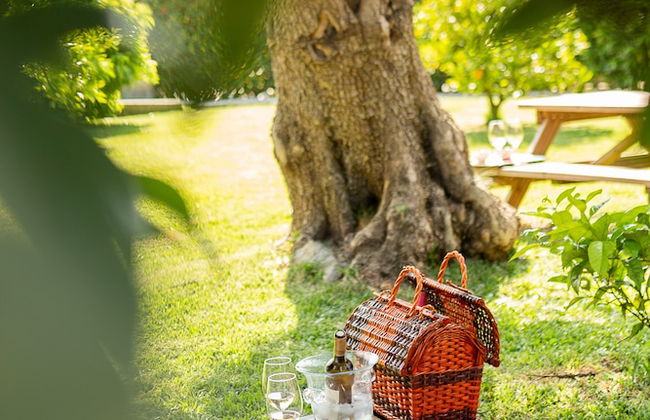 Casa Lata - Wine & Tourism - Foto 63