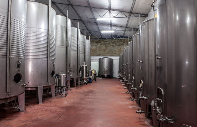 Casa Lata - Wine & Tourism - Foto 43