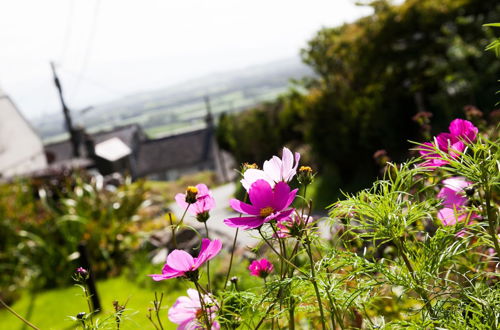 Photo 8 - Arallt Holiday Cottage