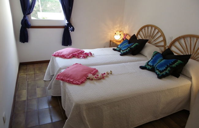 Danlux Roma - Foto 2