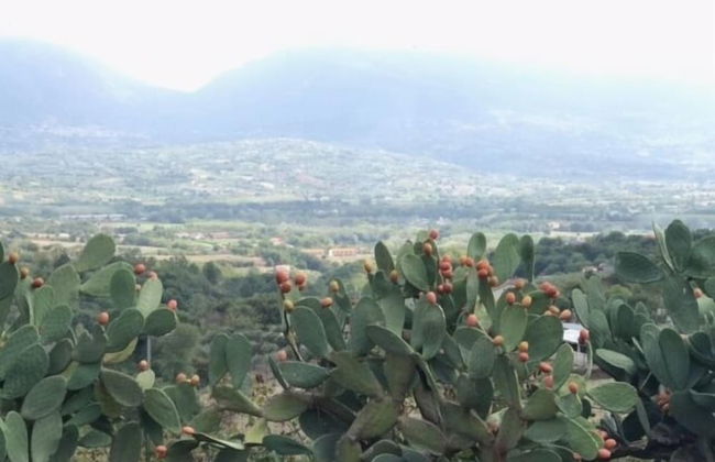 Antico Casale di Campagna - Foto 6