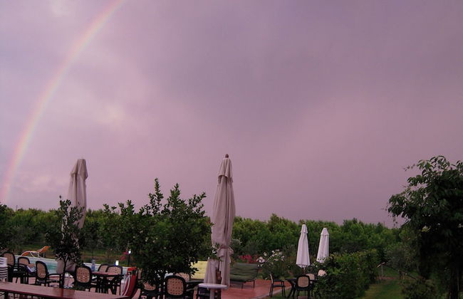 La Prosciutta - Foto 36