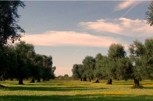 Photo 26 - Il Maremmano