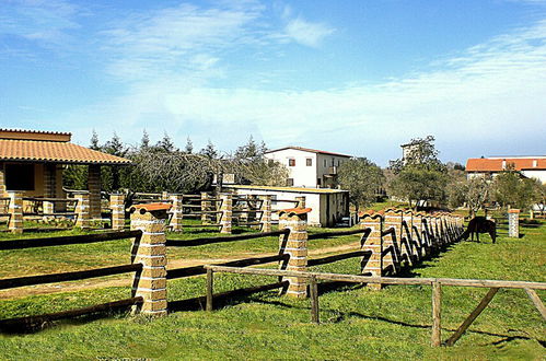 Photo 25 - Il Maremmano