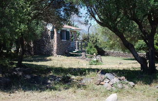 Foto 1 - Agriturismo Gulunie a 800 mt dal mare