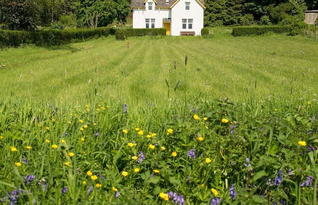 Steading Holidays - Glashven - Foto 15