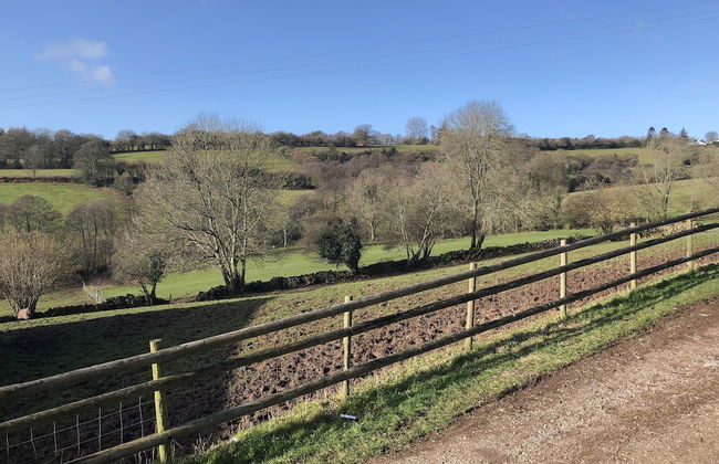 Welsh Marches at Upper Glyn Farm - Photo 39