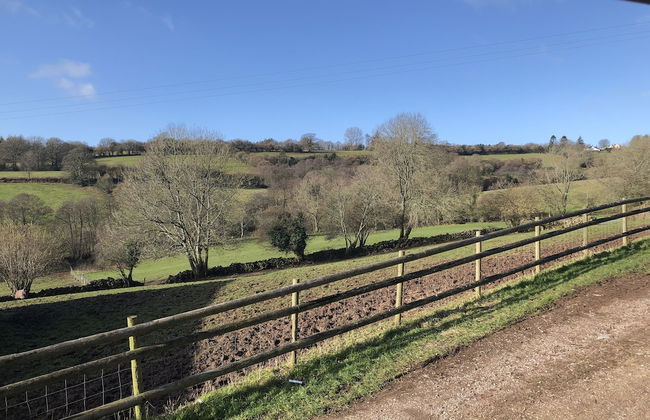Welsh Marches at Upper Glyn Farm - Photo 46