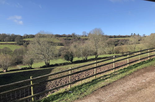 Foto 46 - Welsh Marches at Upper Glyn Farm