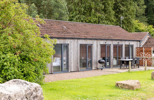 Welsh Marches at Upper Glyn Farm - Photo 38